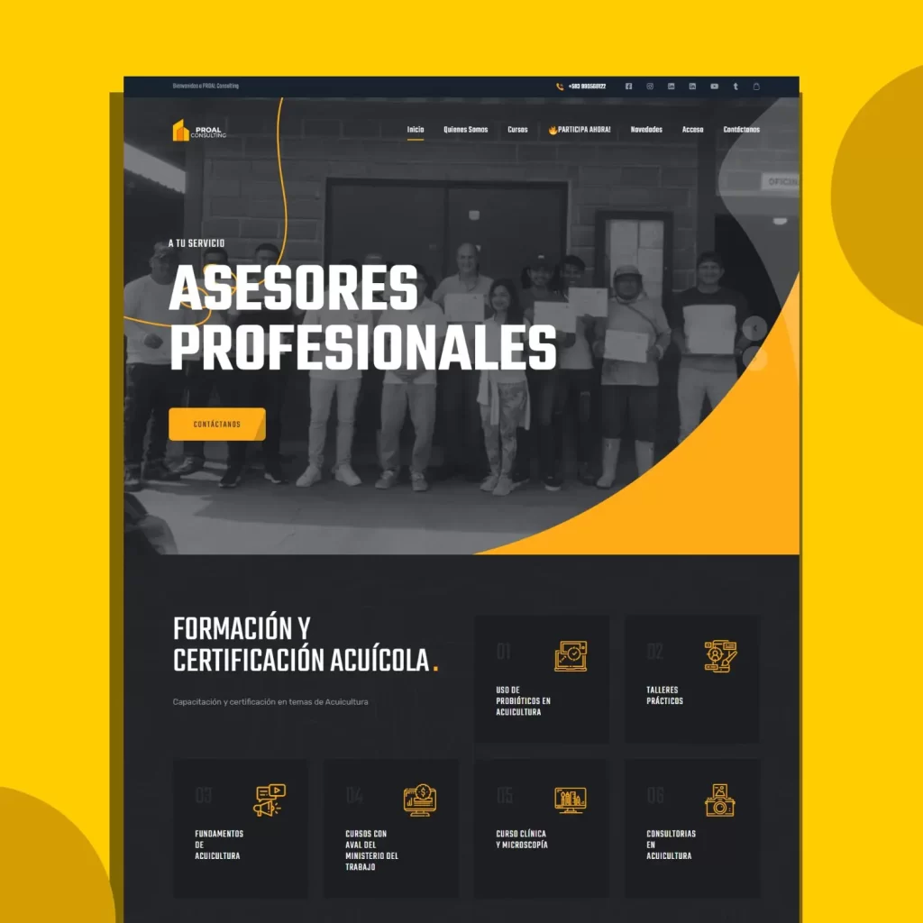 Sitio web de Proal Consulting